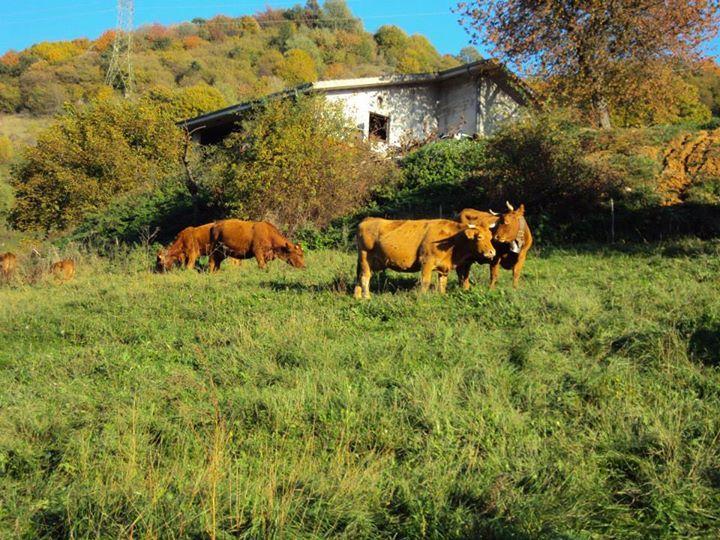 Agriturismo La Part San Zeno di Montagna Dış mekan fotoğraf